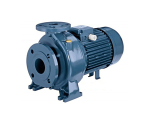 Máy bơm nước ly tâm Ebara MD 50-250/18.5 - trục ngang, 25HP