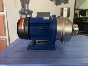 Máy bơm nước ly tâm Ewara DWO 200T - trục ngang, 2HP