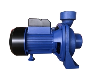 Máy bơm nước ly tâm Lepono ACm 75 (ACm75) - 750W