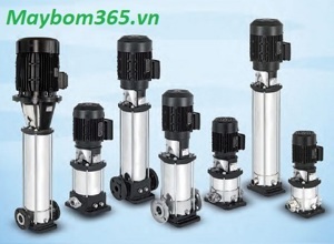Máy bơm nước ly tâm trục đứng đầu inox Ebara EVM 32 3-3F5/5.5 - 7.5HP