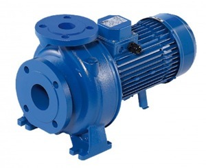 Máy bơm nước ly tâm trục ngang đầu gang Ebara 3D 65-200/22 30HP