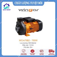 Máy bơm nước ly tâm WINGAR WCm75B2 - 750W máy hút nước lưu lượng cao, máy bơm nước nông nghiệp, bơm công nghiệp