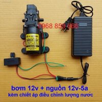 Máy Bơm Nước Mini 12V Tăng Áp Phun Sương, Rửa Xe, Hút Nước Bể Cá