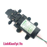 Máy bơm nước mini 12V