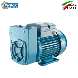 Máy bơm nước Pentax MDT100