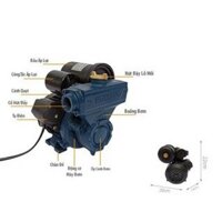 Máy Bơm Nước Tăng Áp ROMANOL150w bơm tự động Cả Đẩy Và Hút Cao 25-BH 12 Tháng