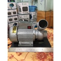 Máy bơm nước tát ao 1.5hp 1.1kw ống 80mm dây đồng chính hãng