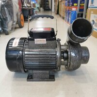 Máy Bơm Nước Tát Ao Thiên Long 750W 1HP Ống Ra F76