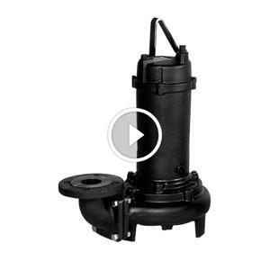 Máy bơm nước thải đặt chìm không phao  Ebara 150 DL 55.5 7.5HP