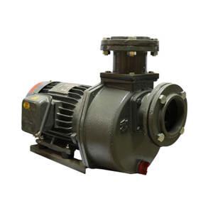 Máy bơm nước thải trục ngang NTP HSP250-1.75 205 1HP