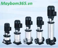 Máy bơm nước trục đứng Ebara EVM 45 9-0F5/37