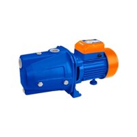 Máy bơm nước tự mồi 750W(1HP) WADFOW WWPJA03 Mô tơ dây nhôm - Cánh quạt bằng thép không gỉ