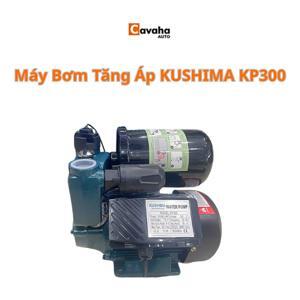 Máy bơm nước tự mồi KINGPUMP KP-300