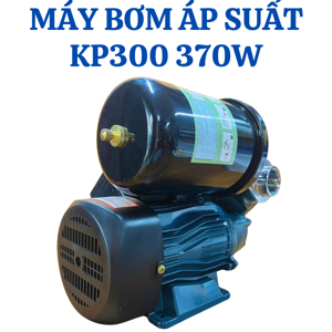 Máy bơm nước tự mồi KINGPUMP KP-300