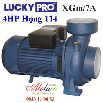 Máy bơm nước tưới tiêu Lucky Pro XGM/7B - 4HP