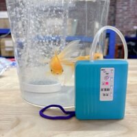 Máy bơm oxy di động ngoài trời Loại lưu trữ điện siêu bền Máy tạo oxy bể cá gia dụng Máy bơm oxy nuôi cấy Máy bơm oxy mất điện