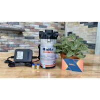 Máy bơm phun sương mini 24V kèm nguồn Adaptor 24V (chạy 20 đầu béc phun sương ) - Kho Sỉ Bec