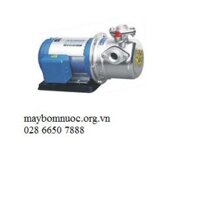 Máy Bơm Phun Vỏ Gang Đầu Inox 750W HJP225-1.75 26