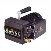 Máy bơm rửa xe xịt rửa máy lạnh Walrus TH400P 400W 1 Pha 220V