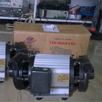 Máy bơm Tân Hoàn Cầu ABC-1500 2HP