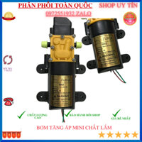 Máy bơm tăng áp 12v zuikui korea (phun sương tưới cây)