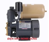 Máy bơm tăng áp Selton SEL150AE ( 150W)