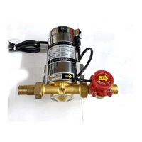 Máy bơm tăng áp từ tự động Penronil 100W