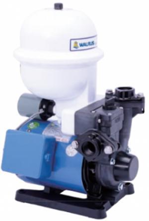 Máy bơm tăng áp Walrus TP825P - 1/2 HP