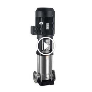 Máy bơm trục đứng đầu inox Shimge BL 2-18 2.2KW- 220V