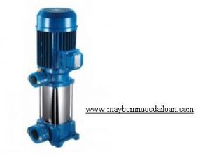 Máy bơm trục đứng Ewara CVE 125-10T 5.5 HP