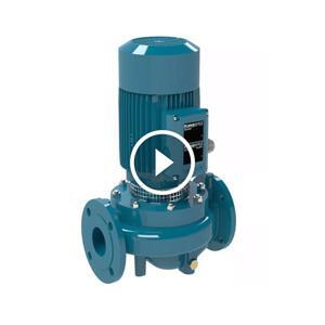 Máy bơm trục đứng inline Calpeda NRM 50C/A (220V)