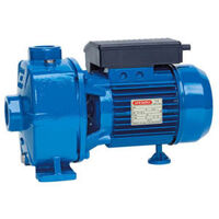 Máy bơm trục ngang Speroni NB300 BR