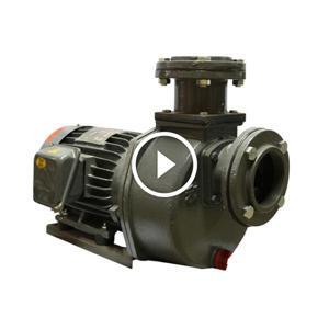 Máy bơm tự hút Gang Nation Pump HSP280-13.7 20