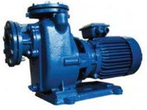 Máy bơm tự hút Mitsuky CNS80/5.5 - 7.5HP, 380V