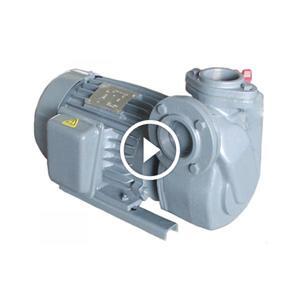 Máy bơm Tuabin NTP HTP225-2.37 265 1/2HP
