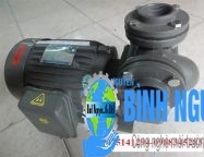 Máy bơm tubin đa tầng cánh NTP HTP225-2.75 20 1HP