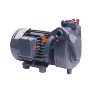 Máy bơm tubin đầu gang cánh đồng NTP HTP250-22.2 20 - 3HP