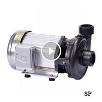 Máy bơm tưới tiêu Super Win Tân Hoàn Cầu SP-1500 2HP