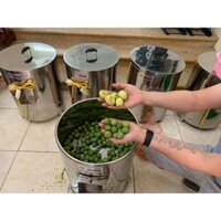 Máy cạo sấu, cạo vỏ cóc, bào vỏ mã thầy, khoai sọ