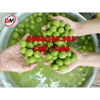 Máy cạo vỏ cóc, cạo vỏ sấu, cạo vỏ khoai sọ mỗi giờ 80kg