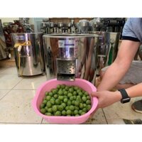 Máy cạo vỏ sấu động cơ, Máy gọt sấu hiệu quả cao  INOX Moto Lõi Đồng 100% BH 12 Tháng