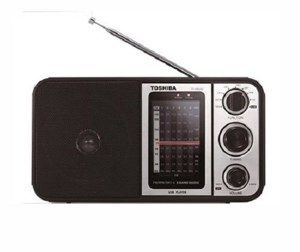 Máy Cassette Toshiba TY-HRU30