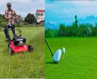 Máy cắt cỏ công viên tự hành Yamaha SC-510