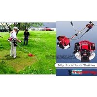 Máy Cắt Cỏ Honda GX25 (Nhập Khẩu Thái Lan)