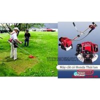 Máy Cắt Cỏ Honda GX25 (Nhập Khẩu Thái Lan)