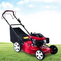 máy cắt cỏ mini Máy cắt cỏ động cơ chạy bằng xăng Máy cắt cỏ chạy điện Honda Máy cắt cỏ đẩy tay Máy cắt cỏ vườn cây ăn quả tự hành máy phát cỏ honda máy phát cỏ honda Máy cắt cỏ