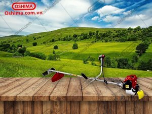 Máy cắt cỏ Oshima TW 35 (TW35)