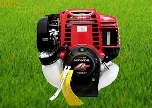 Máy cắt cỏ Oshima TW 35 (TW35)