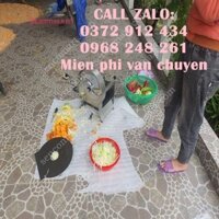 MÁY CẮT LÁT GỪNG, CÀ RỐT LÀM MỨT TẾT SIÊU ĐẸP