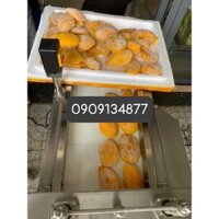 Máy cắt xoài đông lạnh hạt vuông 25x25mm, máy cắt xoài cấp đông thành hạt lựu, máy cắt trái cây đông lạnh JL 660/JL1000